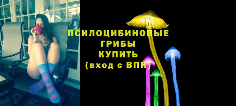 Галлюциногенные грибы MAGIC MUSHROOMS  Каменск-Шахтинский 